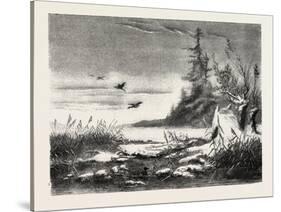 Ambush for Duck Shooting, 1882-null-Stretched Canvas