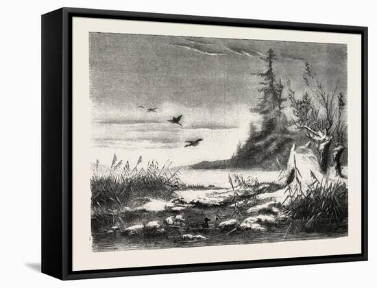 Ambush for Duck Shooting, 1882-null-Framed Stretched Canvas