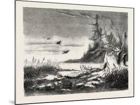 Ambush for Duck Shooting, 1882-null-Mounted Giclee Print