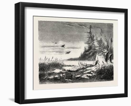 Ambush for Duck Shooting, 1882-null-Framed Giclee Print