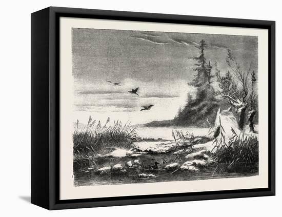 Ambush for Duck Shooting, 1882-null-Framed Stretched Canvas