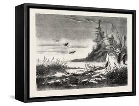 Ambush for Duck Shooting, 1882-null-Framed Stretched Canvas