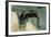 Ambystoma Maculatum (Spotted Salamander)-Paul Starosta-Framed Photographic Print