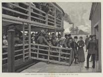 Russian Emigrants Landing from the Tender at the Barge Office, New York-Amedee Forestier-Giclee Print