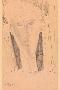 Laminate
