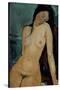 Stretched Canvas