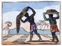 Petition for Abolishing Slavery, 1826-Amelia Alderson Opie-Giclee Print