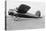 Amelia Earhart's Lockheed-Vega Monoplane-null-Stretched Canvas