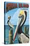 Amelia Island, Florida - Brown Pelican-Lantern Press-Stretched Canvas