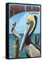 Amelia Island, Florida - Brown Pelican-Lantern Press-Framed Stretched Canvas