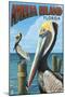 Amelia Island, Florida - Brown Pelican-Lantern Press-Mounted Art Print