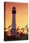 Amelia Island, Florida - Lighthouse and Seagrass-Lantern Press-Stretched Canvas