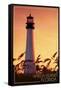 Amelia Island, Florida - Lighthouse and Seagrass-Lantern Press-Framed Stretched Canvas