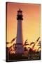 Amelia Island, Florida - Lighthouse and Seagrass-Lantern Press-Stretched Canvas