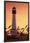 Amelia Island, Florida - Lighthouse and Seagrass-Lantern Press-Framed Art Print