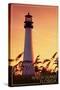 Amelia Island, Florida - Lighthouse and Seagrass-Lantern Press-Stretched Canvas