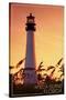 Amelia Island, Florida - Lighthouse and Seagrass-Lantern Press-Stretched Canvas