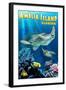 Amelia Island, Florida - Sea Turtle Swimming-Lantern Press-Framed Art Print