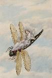 A Fairy Holding a Leaf, Sitting on a Snail Above a Rose-Amelia Jane Murray-Giclee Print