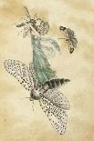 A Fairy Holding a Leaf, Sitting on a Snail Above a Rose-Amelia Jane Murray-Giclee Print