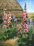 Cottage Garden with Hollyhocks, 1995-Amelia Kleiser-Giclee Print