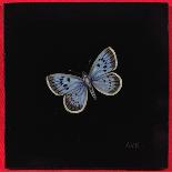 Small Tortoiseshell Butterfly, 1998-Amelia Kleiser-Framed Giclee Print