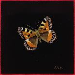 Small Tortoiseshell Butterfly, 1998-Amelia Kleiser-Giclee Print