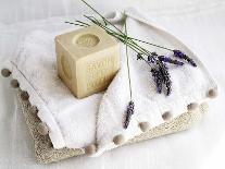 Soap and Lavender-Amelie Vuillon-Art Print