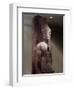 Amenhotep III, Quartzite Statue-null-Framed Giclee Print