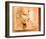 Amenhotep III-Joadoor-Framed Art Print