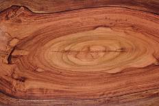 Wood Texture-amenic181-Laminated Photographic Print