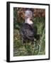 Amer Beaver and Chewed Tree, MN, Castor Canadens-Lynn M^ Stone-Framed Photographic Print