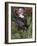 Amer Beaver and Chewed Tree, MN, Castor Canadens-Lynn M^ Stone-Framed Photographic Print