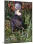 Amer Beaver and Chewed Tree, MN, Castor Canadens-Lynn M^ Stone-Mounted Photographic Print