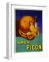 Amer Picon-null-Framed Giclee Print