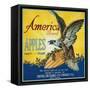 America Apple Crate Label - Dufur, OR-Lantern Press-Framed Stretched Canvas