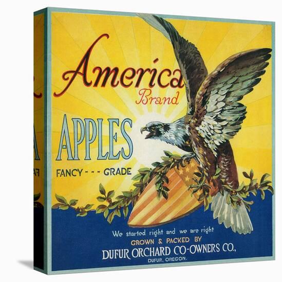 America Apple Crate Label - Dufur, OR-Lantern Press-Stretched Canvas