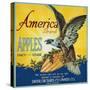 America Apple Crate Label - Dufur, OR-Lantern Press-Stretched Canvas