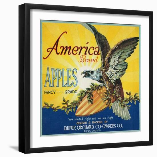 America Apple Crate Label - Dufur, OR-Lantern Press-Framed Art Print