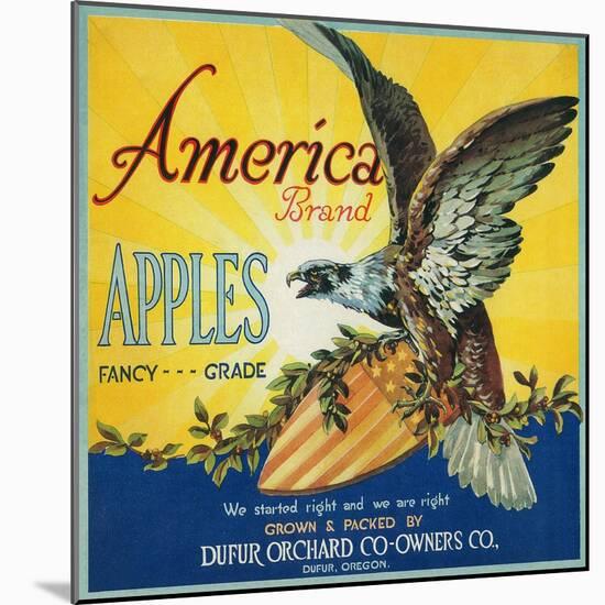 America Apple Crate Label - Dufur, OR-Lantern Press-Mounted Art Print