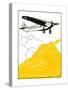 America High-Wing Airplane-Found Image Press-Stretched Canvas