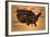 America Map Coffee Bean Producer on Old Paper-NatanaelGinting-Framed Art Print