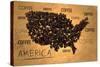 America Map Coffee Bean Producer on Old Paper-NatanaelGinting-Stretched Canvas