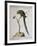 America Parrot or Parakeet-null-Framed Giclee Print