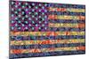 America Quilt-null-Mounted Art Print