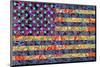 America Quilt-null-Mounted Art Print
