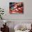 America's Best Choice-Irena Orlov-Stretched Canvas displayed on a wall