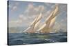 America's Cup 1901- Columbia v Shamrock II-Roy Cross-Stretched Canvas