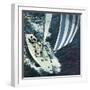 "America's Cup," August 22, 1964-John Zimmerman-Framed Premium Giclee Print