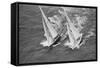 America's Cup Competitors-Alan Altman-Framed Stretched Canvas